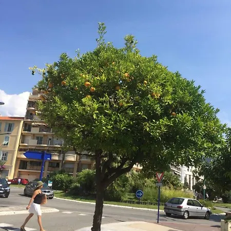 Grazioso A Pochi Passi Dal Mare In 144 Cours Du Centenaire Apartment Menton